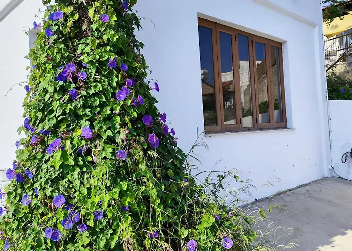 Апартаменты Mariam *